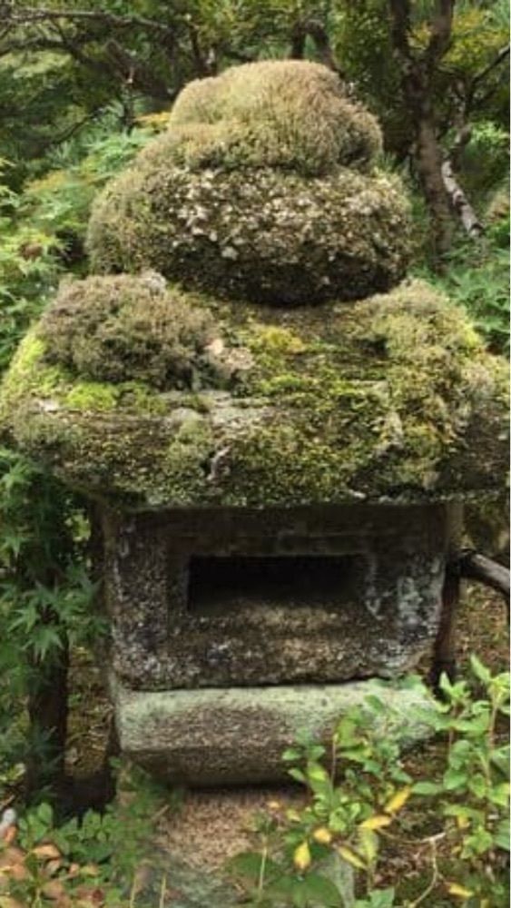 京都を巡る会・「武」さんが投稿した檀林寺に関する口コミの画像