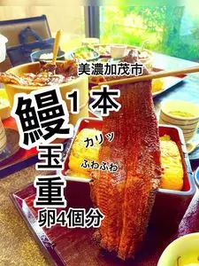 活うなぎ 美濃川（みのかわ）