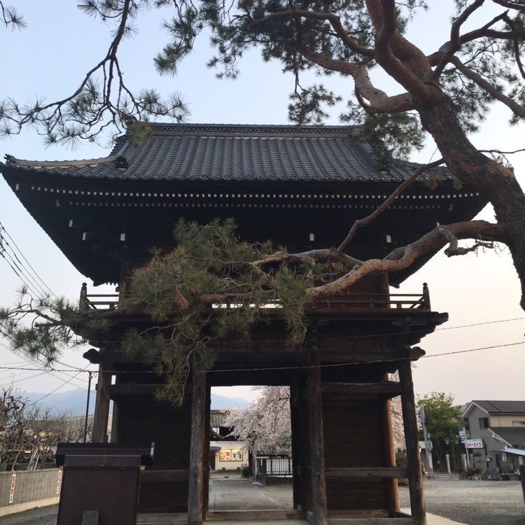 SHi-Ge.さんが投稿した遠妙寺に関する口コミの画像