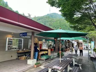 道の駅 甲斐大和