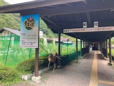 梅ケ島新田温泉黄金の湯