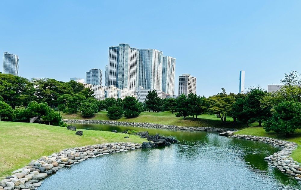 Mさんが投稿した潮入の池名称　（浜離宮恩賜庭園）に関する口コミの画像