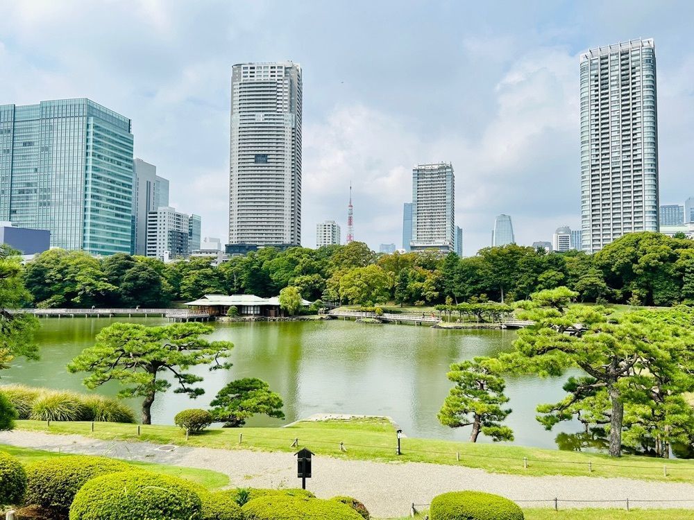 Mさんが投稿した潮入の池名称　（浜離宮恩賜庭園）に関する口コミの画像
