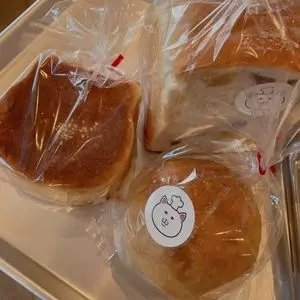 ぱんとねことごはん