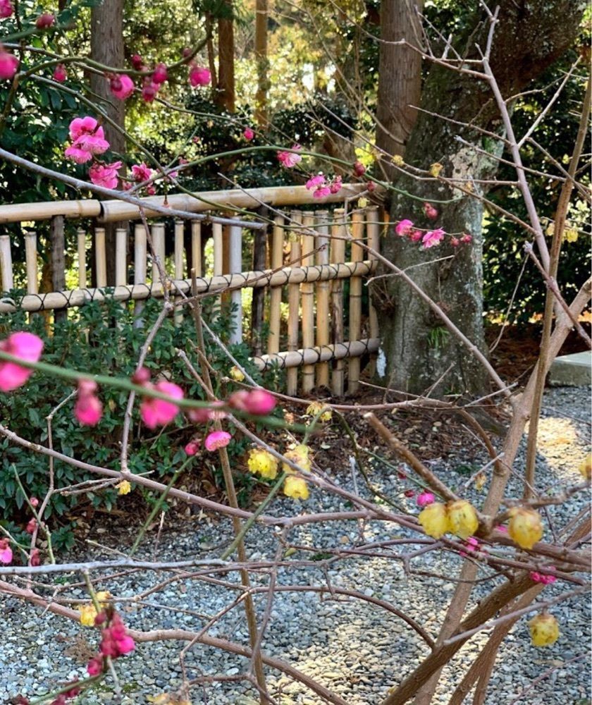 ＤＪゴン太さんが投稿した神明神社（石神さん）に関する口コミの画像