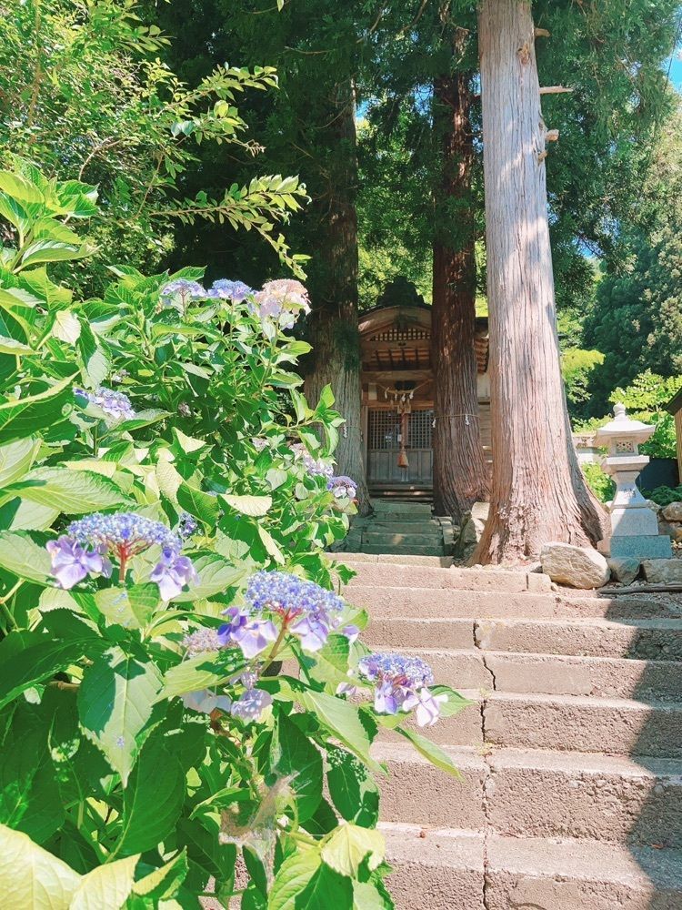 猫なぎ。さんが投稿した亀割子安観音に関する口コミの画像