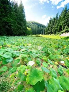山刀伐峠