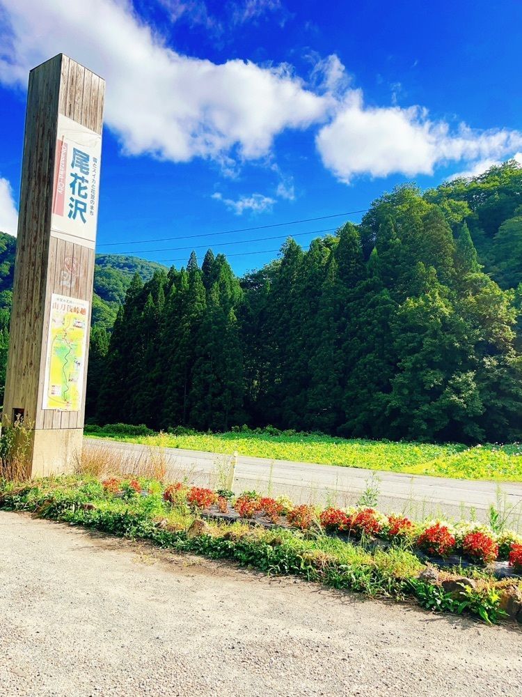 猫なぎ。さんが投稿した山刀伐峠に関する口コミの画像