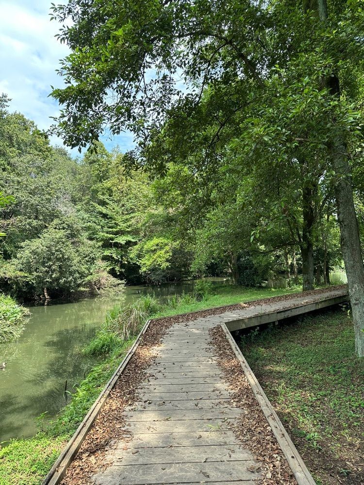 yokomanさんが投稿した智光山公園に関する口コミの画像