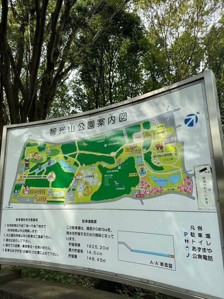 yokomanさんが投稿した智光山公園に関する口コミの画像