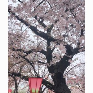 造幣局［工場見学］