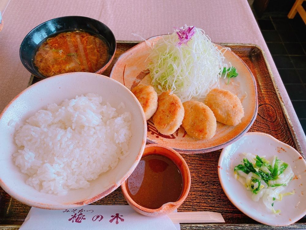鉄道こまちさんが投稿したみそかつ梅の木（みそかつ うめのき）に関する口コミの画像