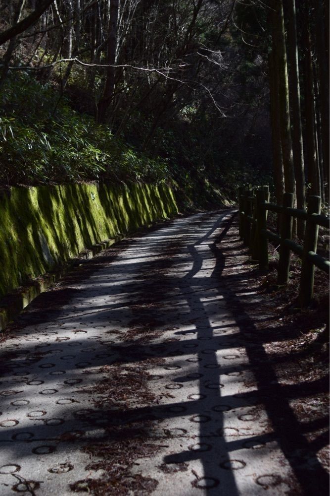 佳さんが投稿した金剛山葛木神社に関する口コミの画像