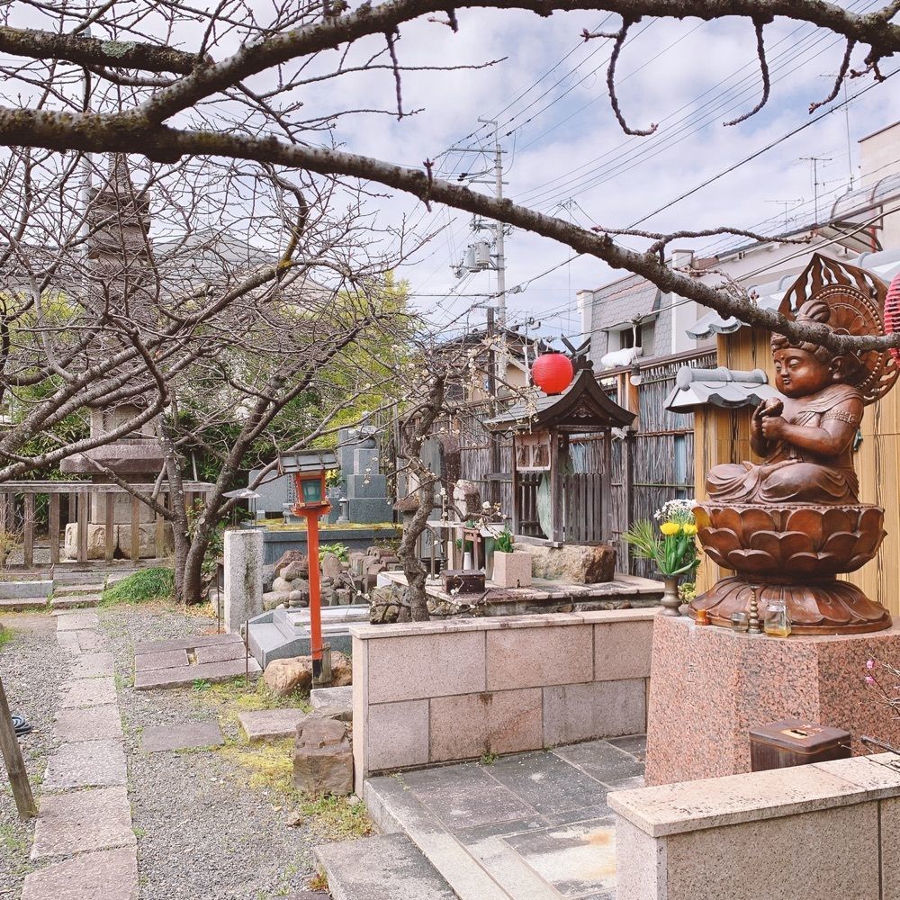 Danjouさんが投稿したオレンジピールカフェ（Orange Peel Cafe）に関する口コミの画像