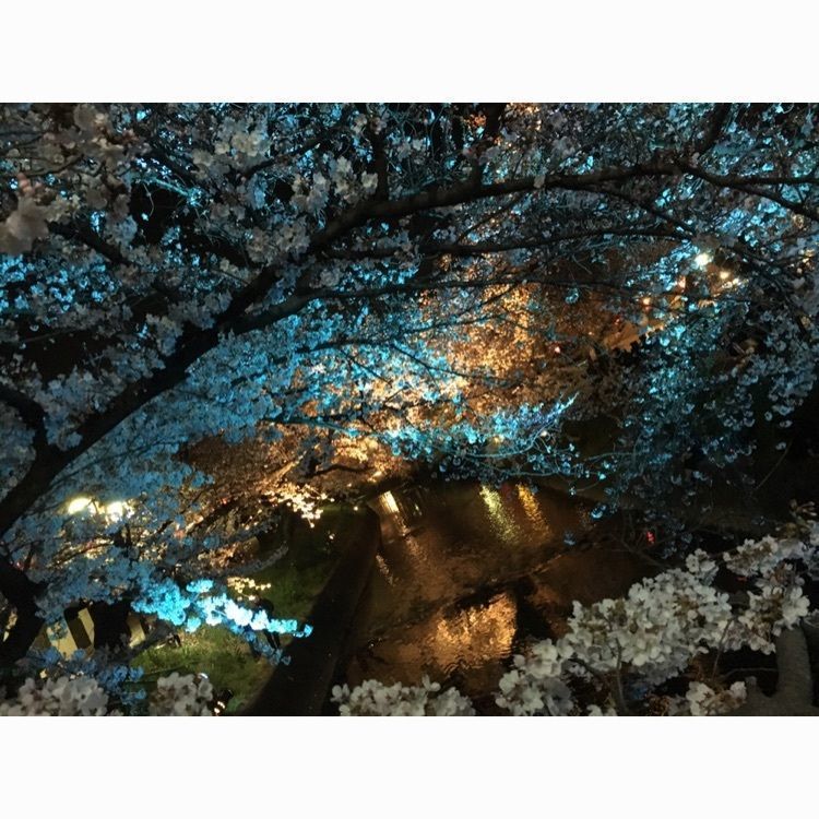 ( ´⚰︎` )さんが投稿した岩倉市に関する口コミの画像
