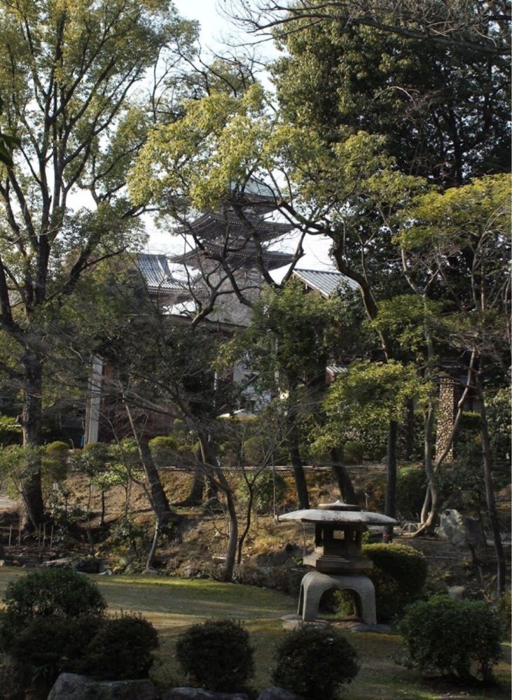 ＤＪゴン太さんが投稿した揚輝荘に関する口コミの画像