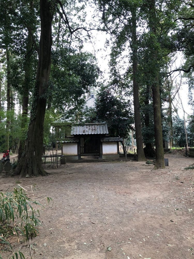 からっ風②さんが投稿した長楽寺境内に関する口コミの画像