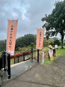 里山シェア大井松田