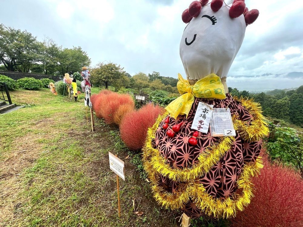 ビンカさんが投稿した四季の里直売所に関する口コミの画像