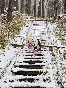 ハイランドホテル 清里高原