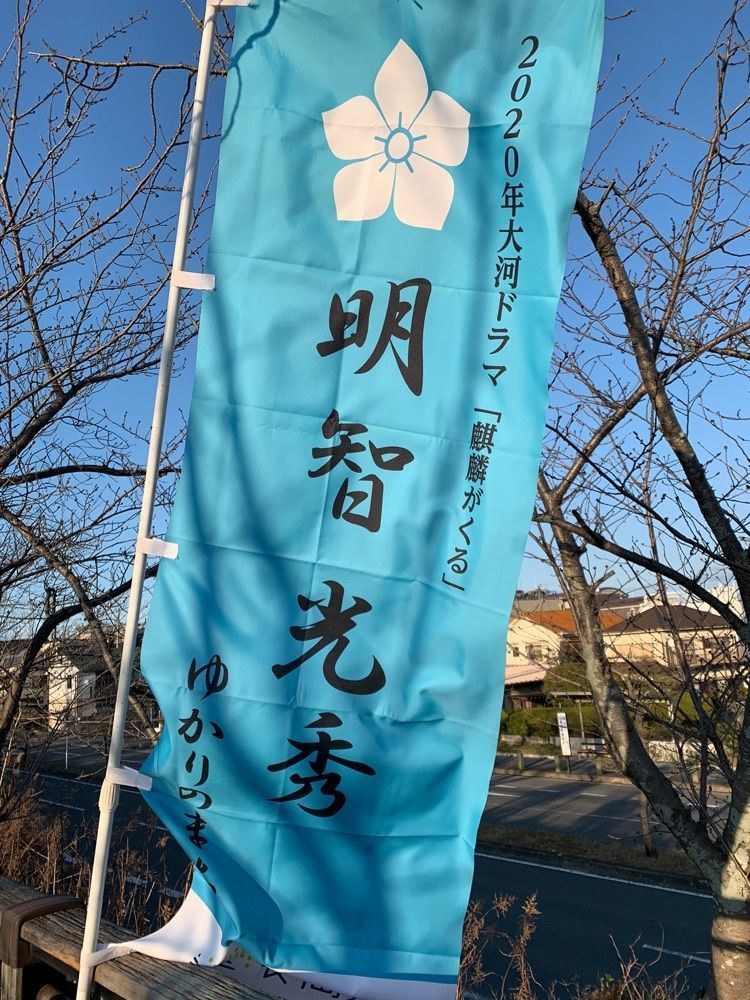 blossom&C7の画像