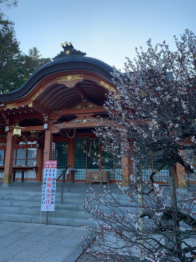 blossom&C7さんが投稿した志津屋 長岡京店（SIZUYA）に関する口コミの画像