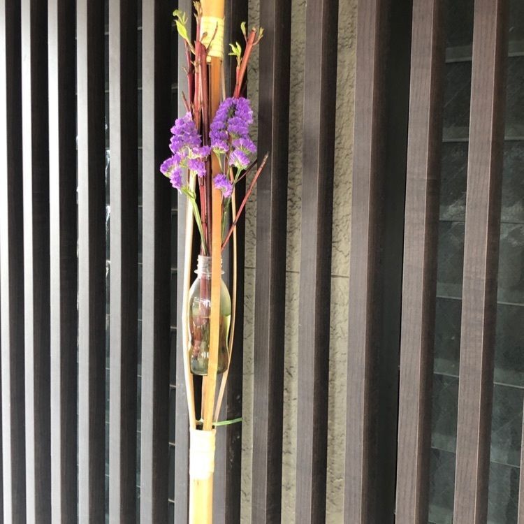 wonderfulさんが投稿した高田駅に関する口コミの画像