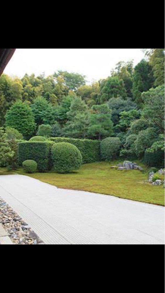 京都を巡る会・「武」さんが投稿した芬陀院（フンダイン）に関する口コミの画像