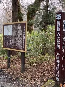 戸隠山