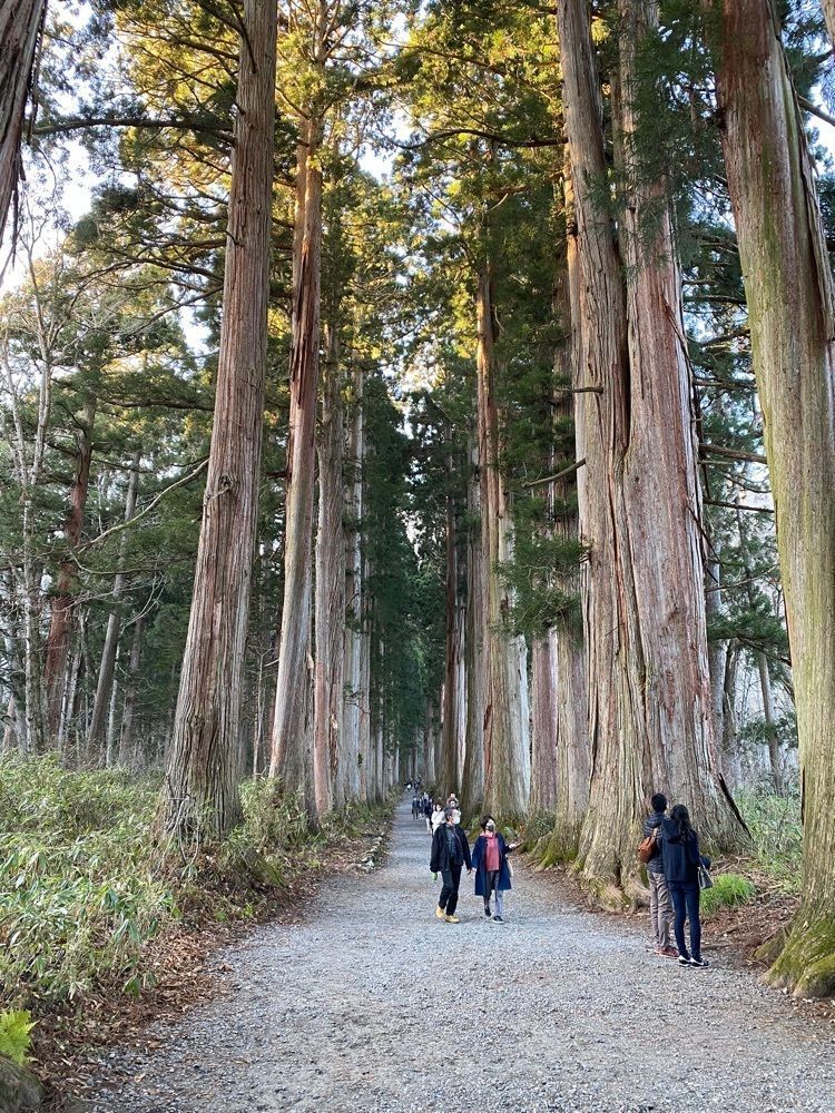 kazuyaさんが投稿した戸隠山に関する口コミの画像