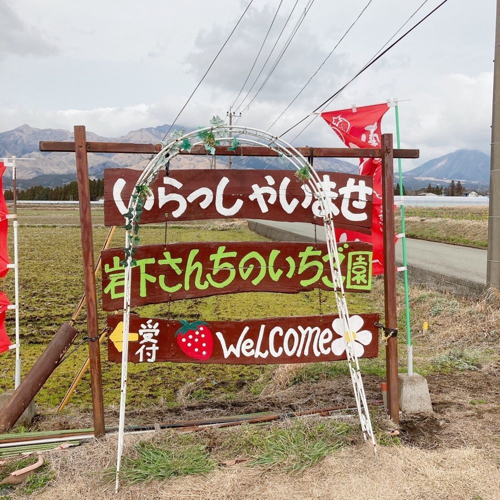 はっぴーさんが投稿した南阿蘇岩下さんちのいちご園に関する口コミの画像