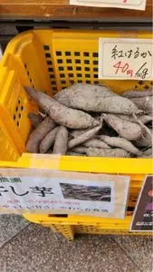 新京極商店街