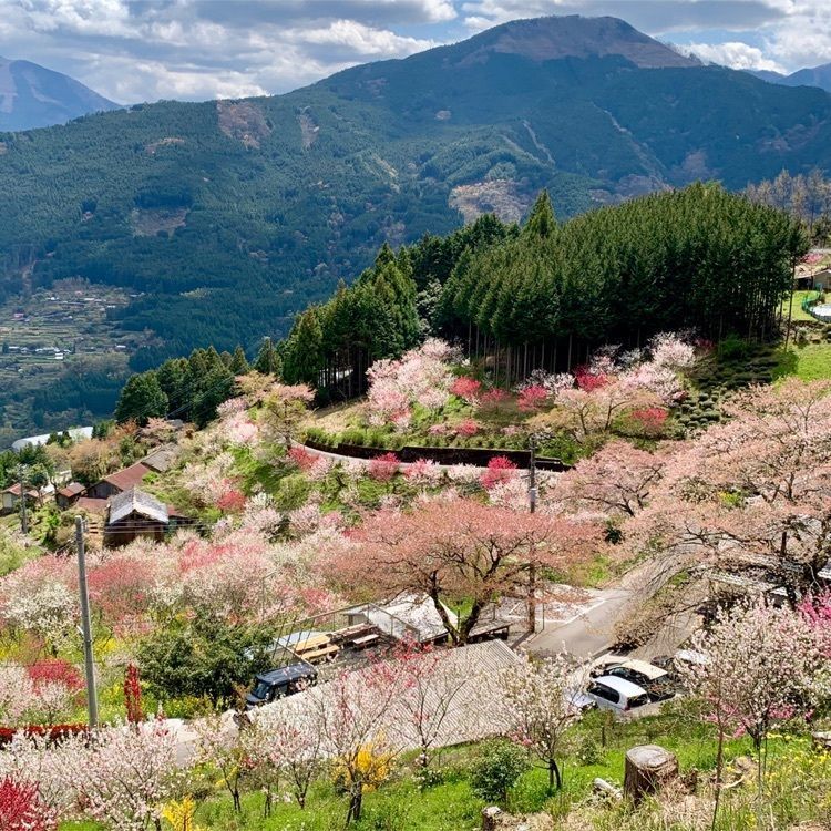 96take4さんが投稿した天辺に関する口コミの画像