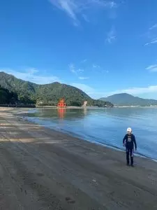 瀰山原始林