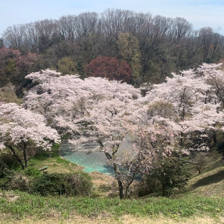 Mickingさんが投稿した十三塚に関する口コミの画像