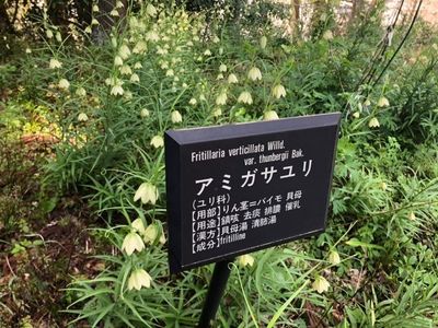 宇陀市歴史文化館「薬の館」