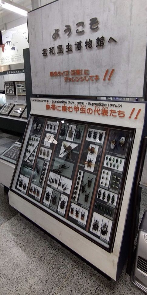 ＤＪゴン太さんが投稿した名和昆虫博物館に関する口コミの画像