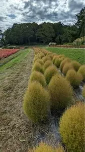国営飛鳥歴史公園