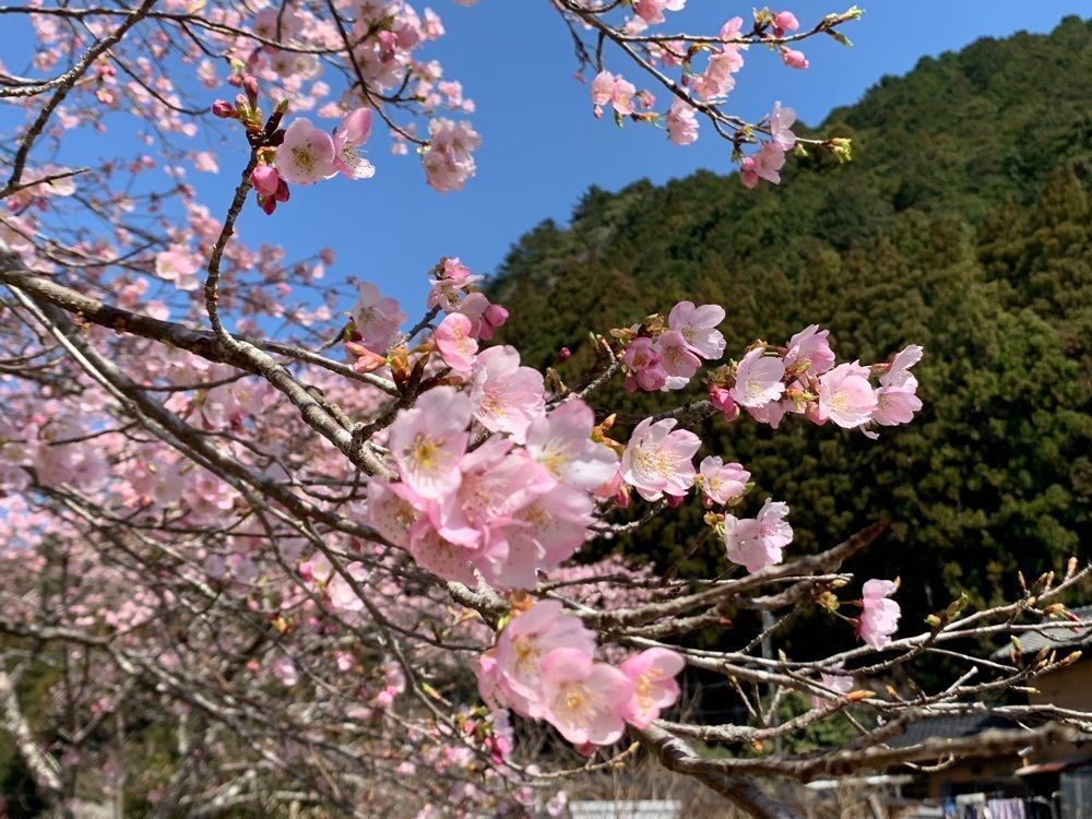 Howl Monさんが投稿した新城市学童農園　山びこの丘に関する口コミの画像