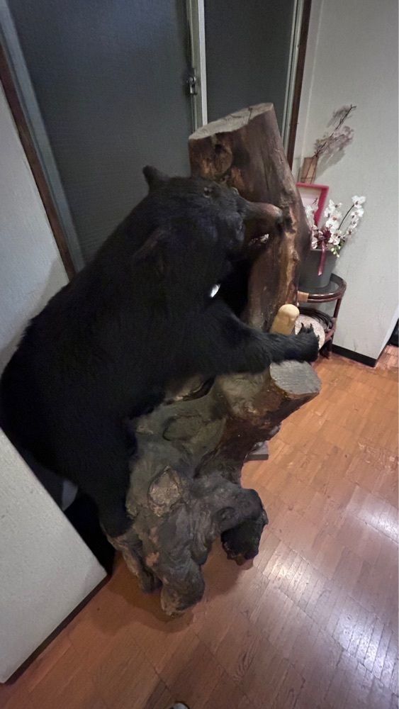 keita7086さんが投稿した藤屋食堂に関する口コミの画像