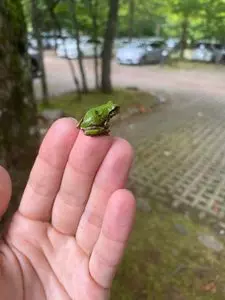 白州・尾白の森名水公園べるが 1枚目