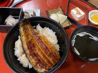 うなぎ　大和田