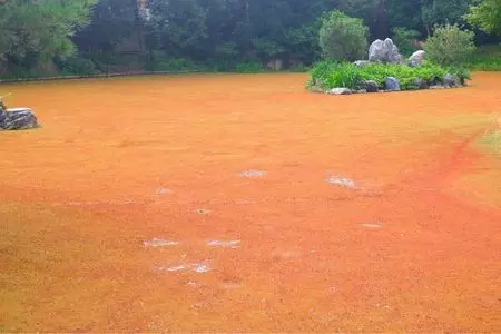 渉成園（枳殻邸）