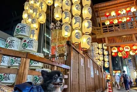 MIMARU京都 二条城(旧 MIMARU京都 堀川六角) 3枚目
