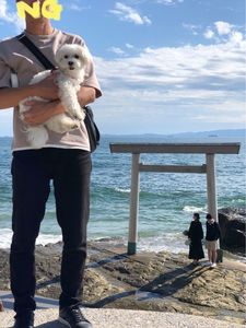 つぶて浦 1枚目