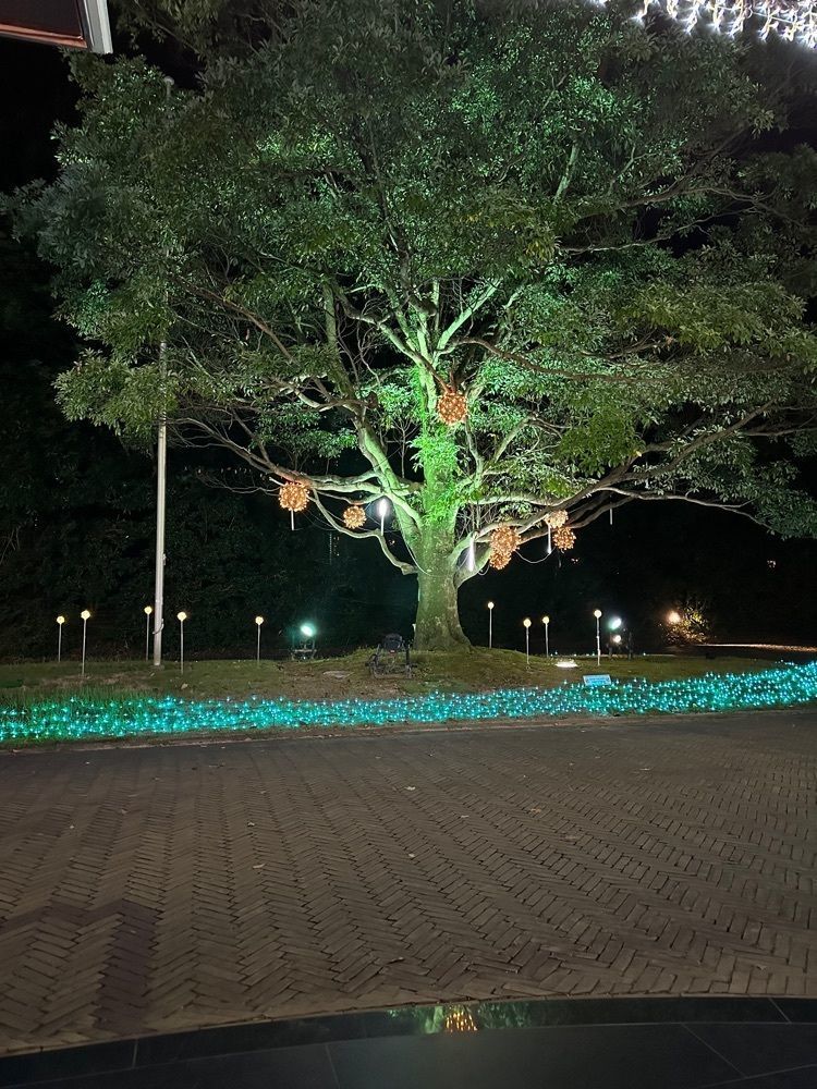 nico☺︎さんが投稿したハウステンボス天然温泉に関する口コミの画像