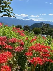 塩山桃源郷