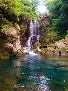 奈曽の白滝