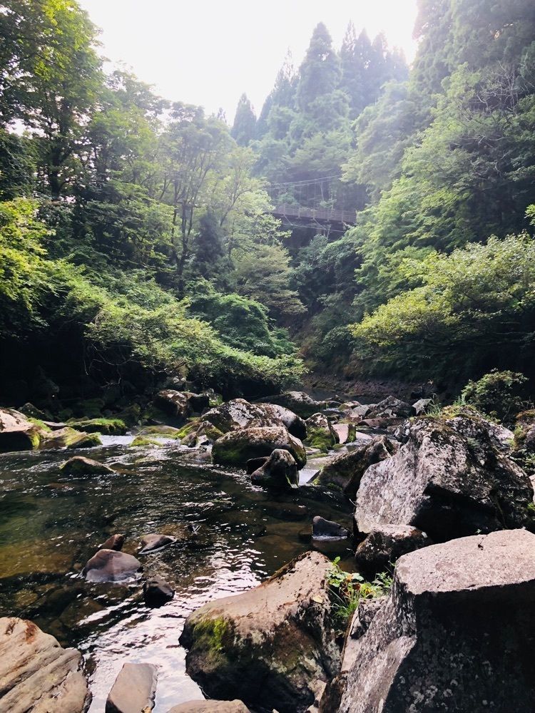 ma_daさんが投稿した奈曽の白滝に関する口コミの画像