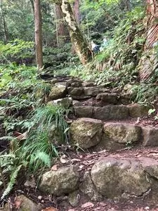 奈曽の白滝 2枚目